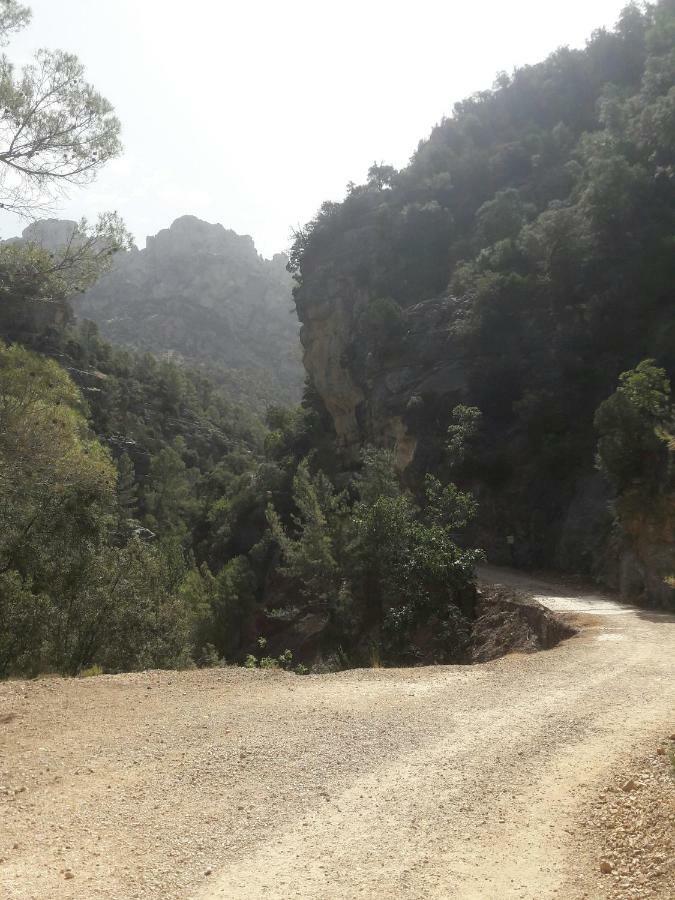 Sierra De Cazorla Villa Arroyo Frio Eksteriør billede