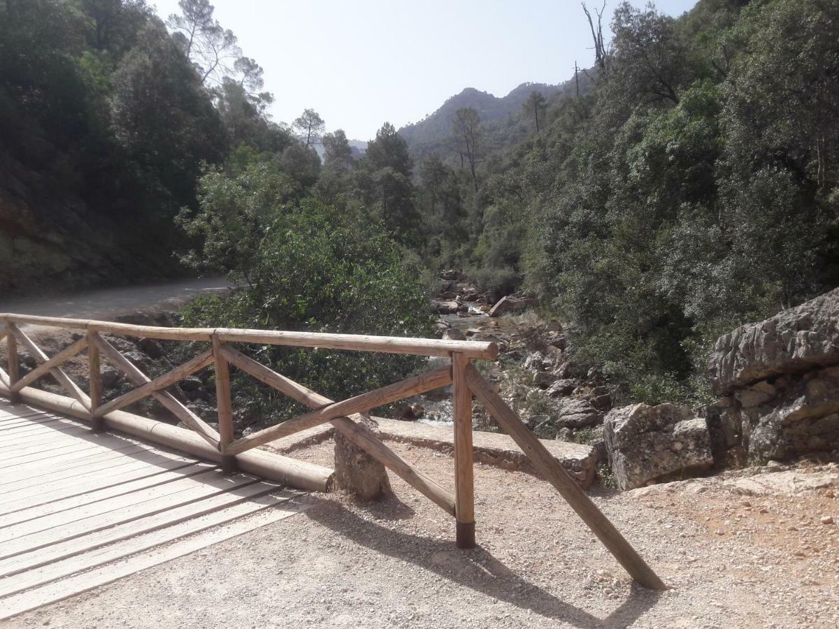 Sierra De Cazorla Villa Arroyo Frio Eksteriør billede