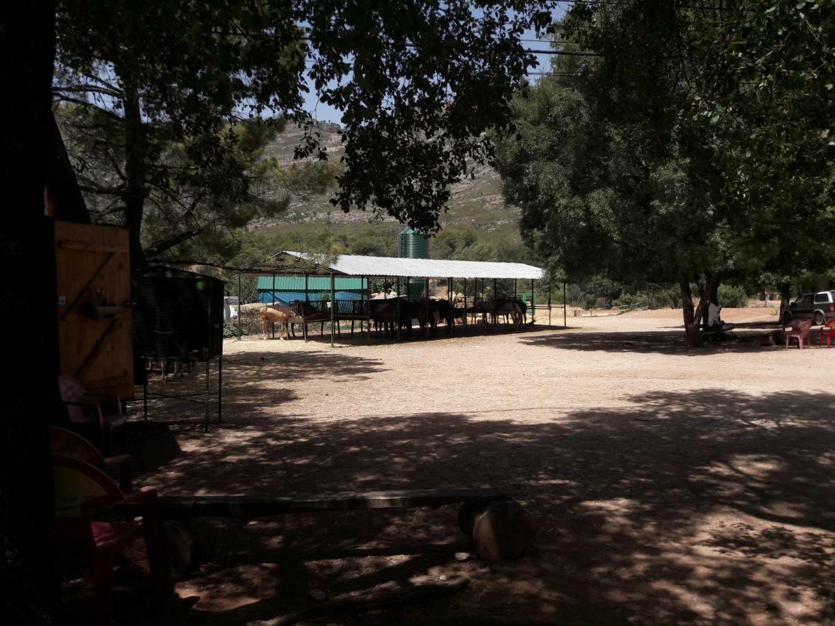 Sierra De Cazorla Villa Arroyo Frio Eksteriør billede